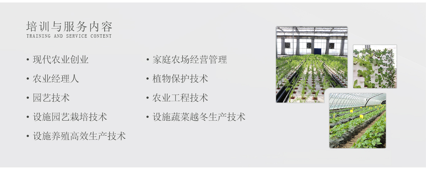 人才培養1920實驗2_12.jpg 人才培養1920實驗2_12.jpg