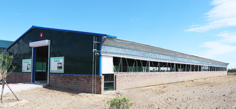 準旗羊場網站4圖940.jpg 準旗羊場網站4圖940.jpg