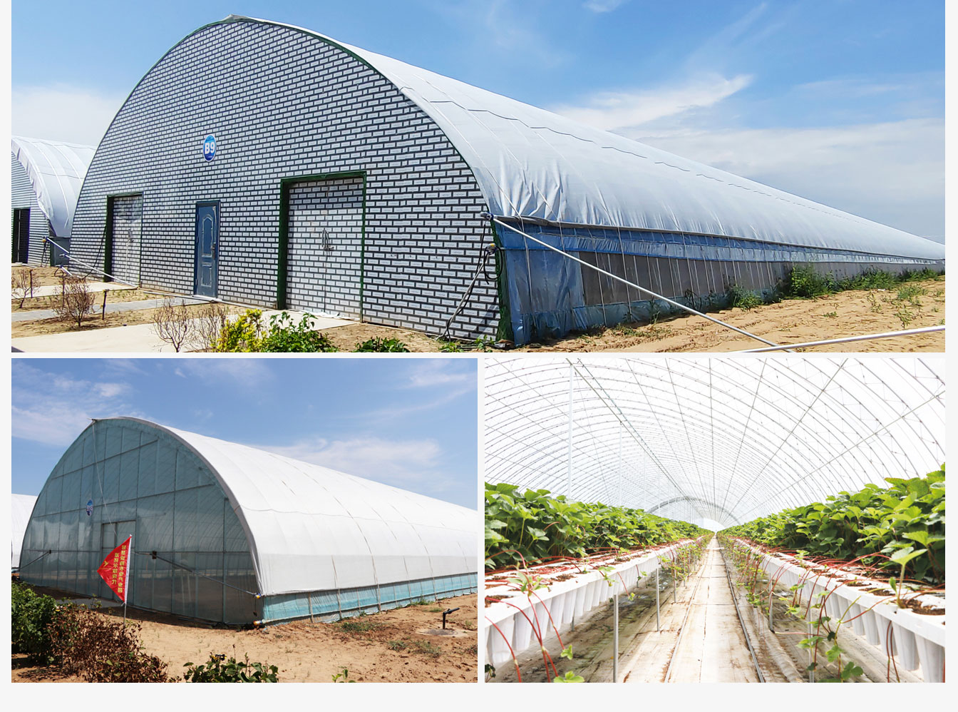 準(zhǔn)格爾旗現(xiàn)代智慧設(shè)施農(nóng)業(yè)產(chǎn)業(yè)園_08.jpg 準(zhǔn)格爾旗現(xiàn)代智慧設(shè)施農(nóng)業(yè)產(chǎn)業(yè)園_08.jpg