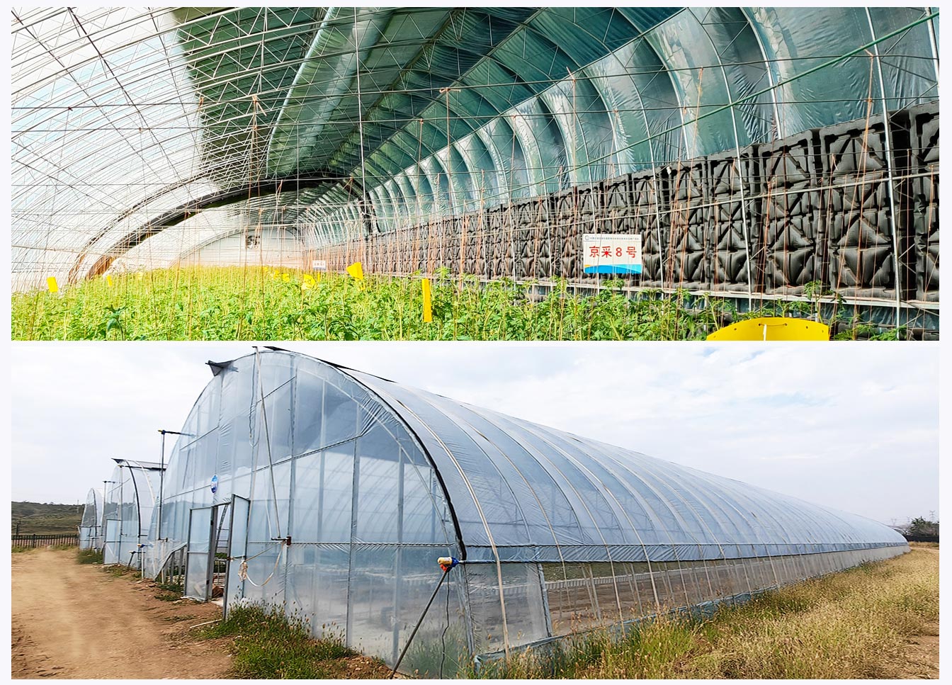 石拐區現代智慧設施農業產業園_07.jpg 石拐區現代智慧設施農業產業園_07.jpg