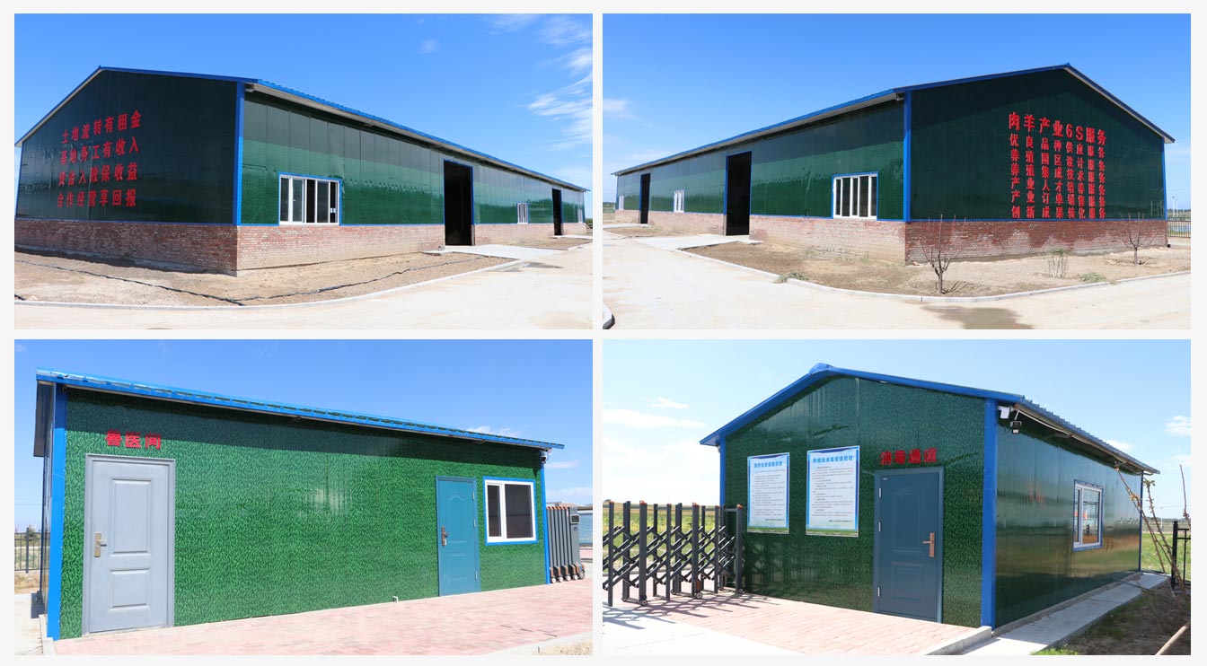 準格爾旗肉羊設施養殖示范中心_07.jpg 準格爾旗肉羊設施養殖示范中心_07.jpg
