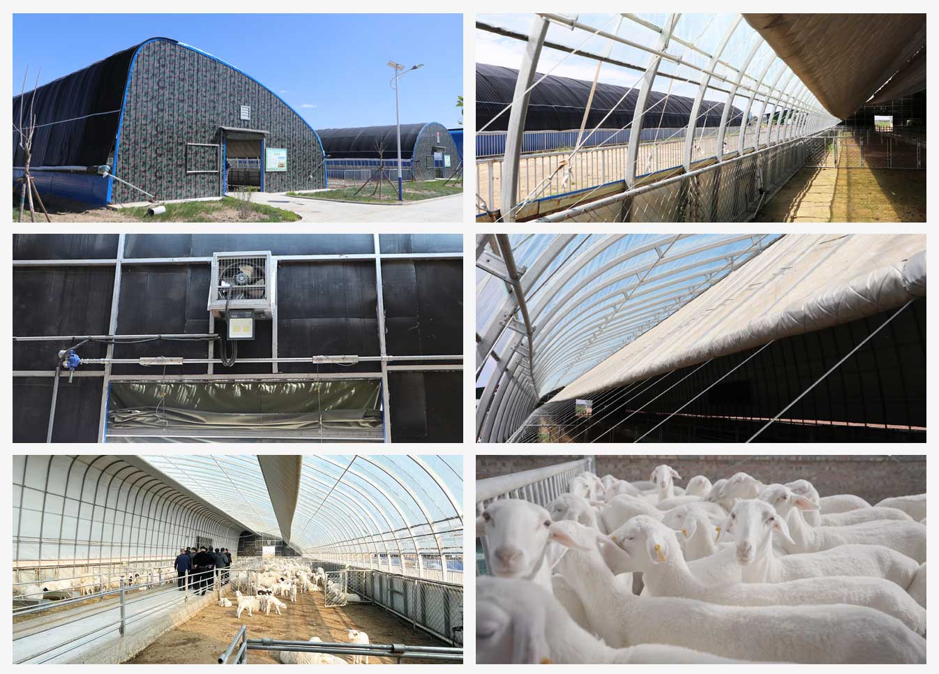 新型冬暖夏涼裝配式畜牧弧形棚舍3_12.jpg 新型冬暖夏涼裝配式畜牧弧形棚舍3_12.jpg