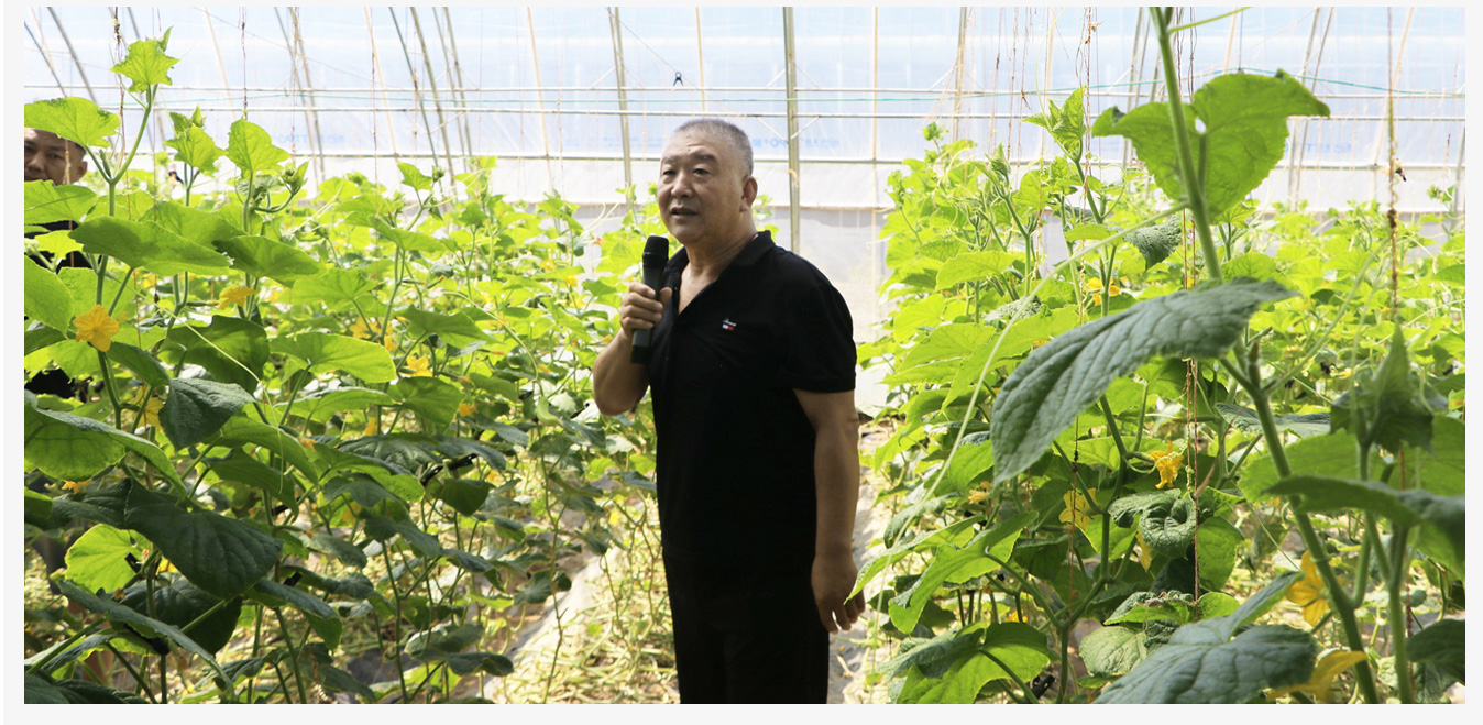 準(zhǔn)格爾旗現(xiàn)代智慧設(shè)施農(nóng)業(yè)產(chǎn)業(yè)園_16.jpg 準(zhǔn)格爾旗現(xiàn)代智慧設(shè)施農(nóng)業(yè)產(chǎn)業(yè)園_16.jpg