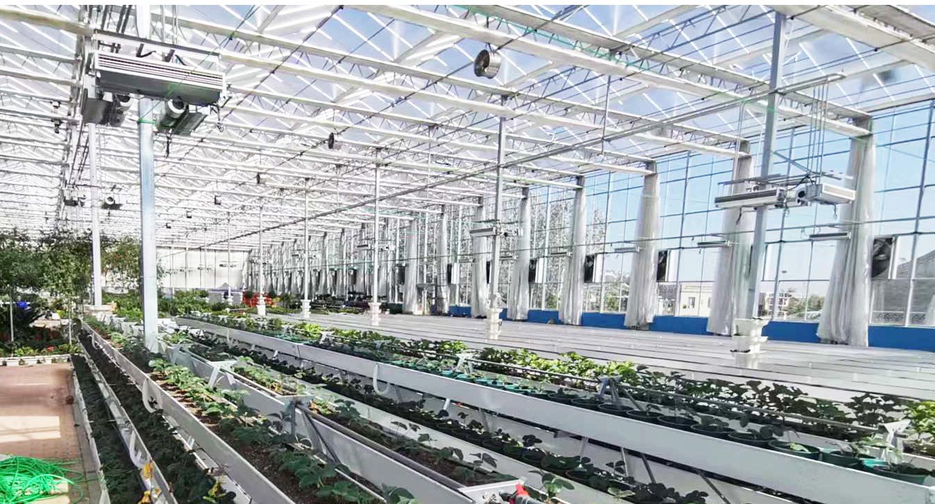 大路鎮苗家灘社區項目-智能溫室、日光溫室建設項目_16.jpg 大路鎮苗家灘社區項目-智能溫室、日光溫室建設項目_16.jpg