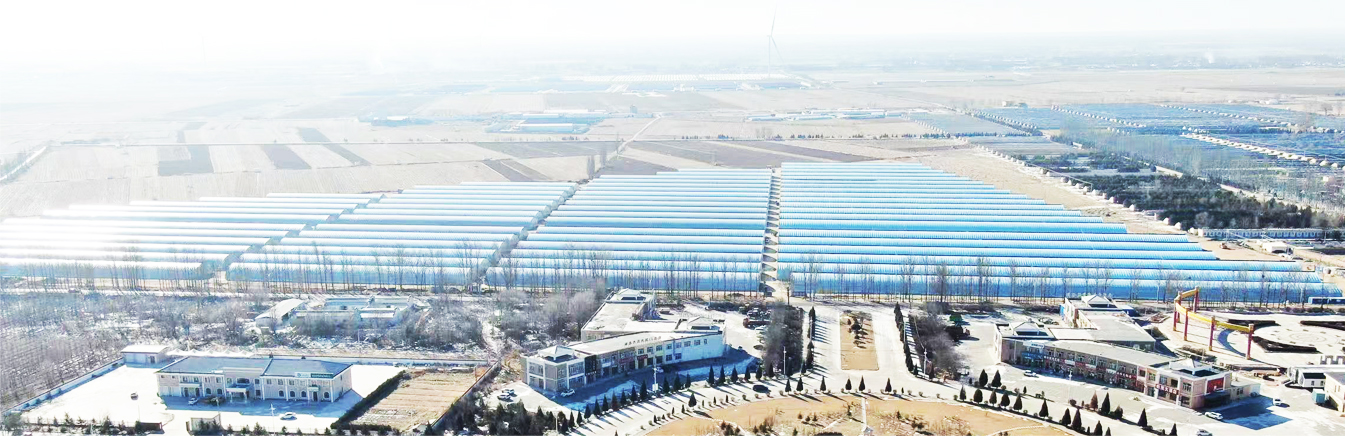 準格爾旗現(xiàn)代設(shè)施農(nóng)業(yè)科技轉(zhuǎn)化示范園_05.jpg