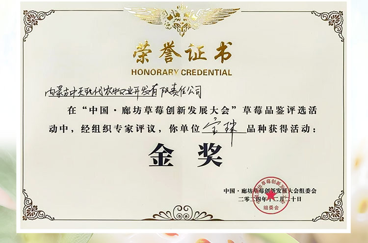 草莓1920網(wǎng)50像素2025年3月12日網(wǎng)頁_03.jpg 草莓1920網(wǎng)50像素2025年3月12日網(wǎng)頁_03.jpg