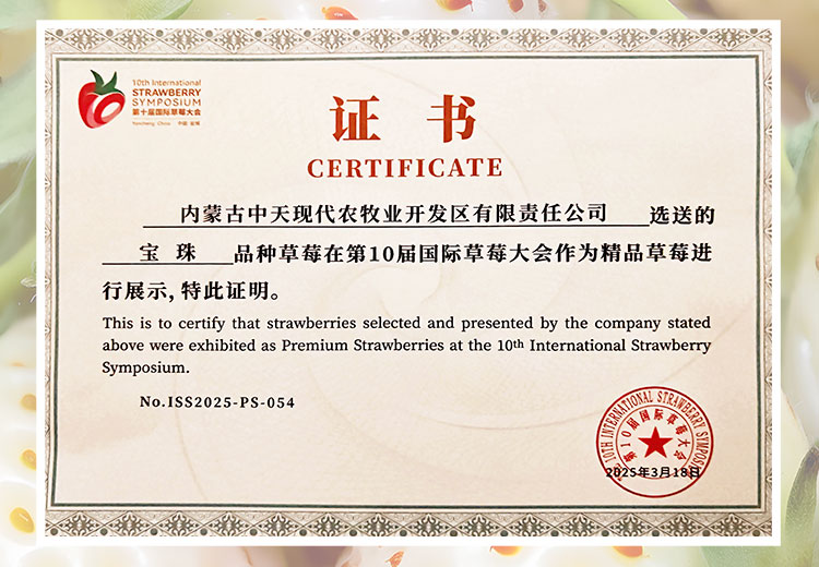 草莓1920網(wǎng)50像素2025年3月12日網(wǎng)頁_04.jpg 草莓1920網(wǎng)50像素2025年3月12日網(wǎng)頁_04.jpg