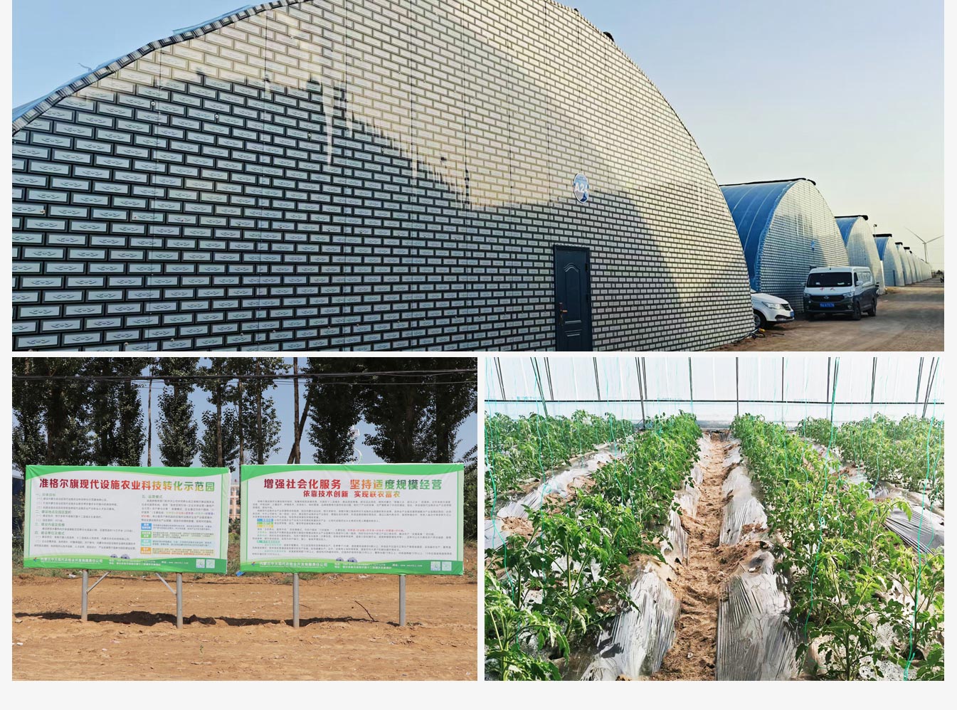 準格爾旗現(xiàn)代設(shè)施農(nóng)業(yè)科技轉(zhuǎn)化示范園_10.jpg 準格爾旗現(xiàn)代設(shè)施農(nóng)業(yè)科技轉(zhuǎn)化示范園_10.jpg