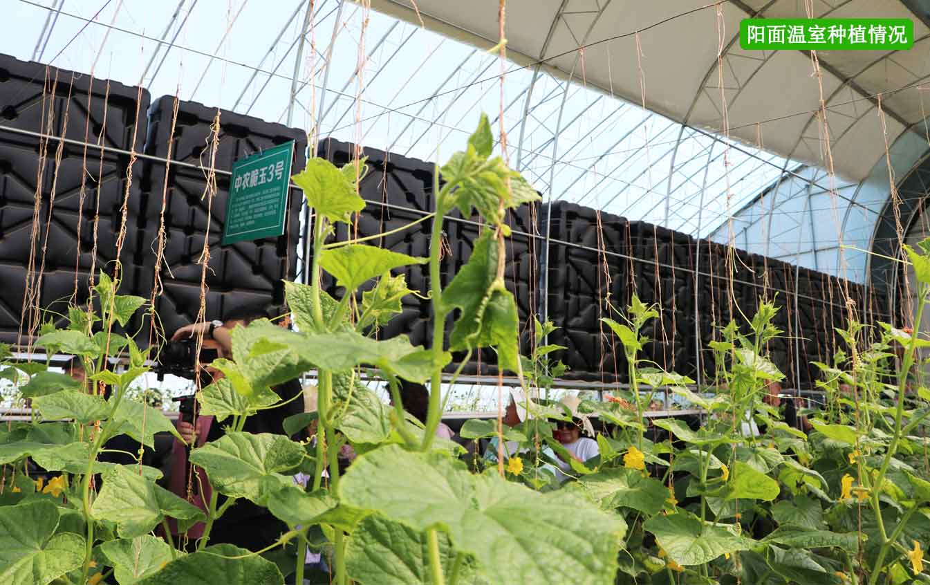 2、四季溫室網頁_12.jpg 2、四季溫室網頁_12.jpg
