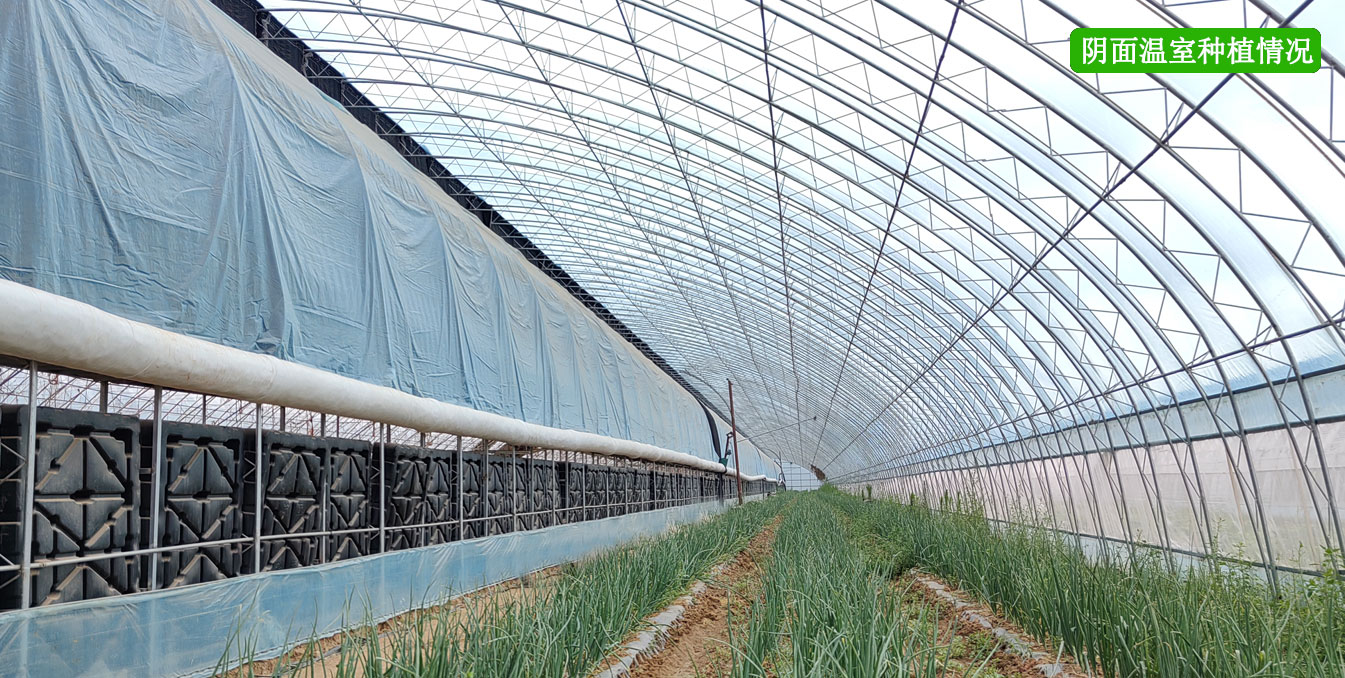 2、四季溫室網頁_13.jpg 2、四季溫室網頁_13.jpg