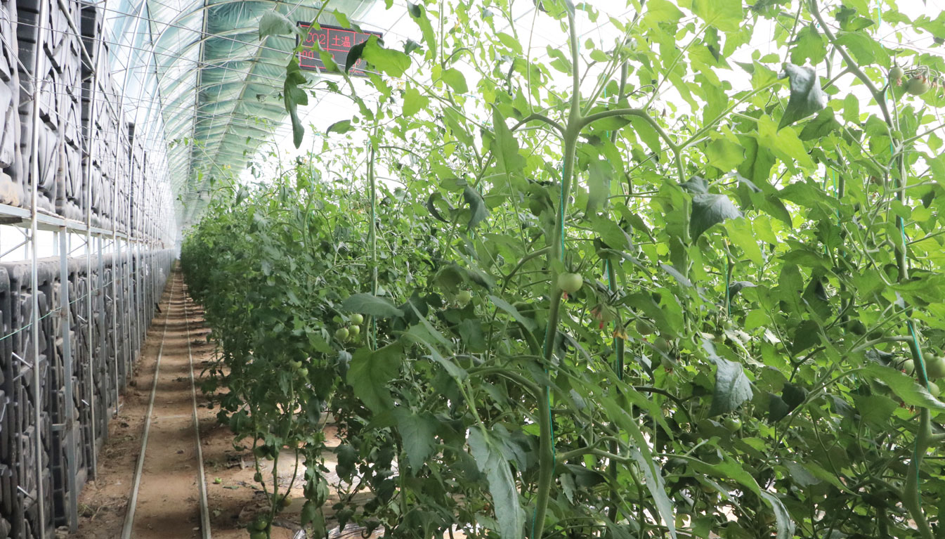 2、四季溫室網頁_14.jpg 2、四季溫室網頁_14.jpg