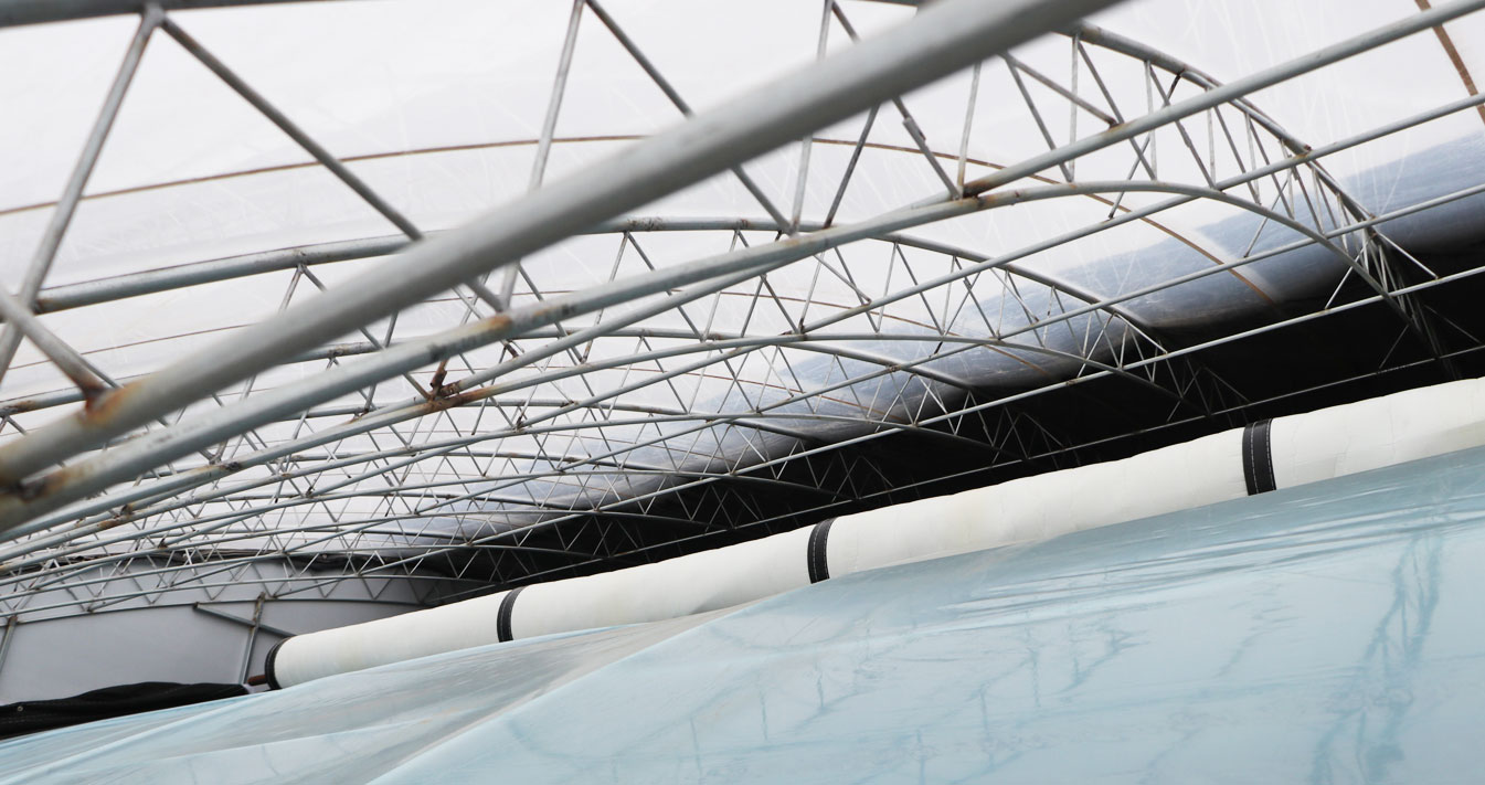 2、四季溫室網頁_15.jpg 2、四季溫室網頁_15.jpg