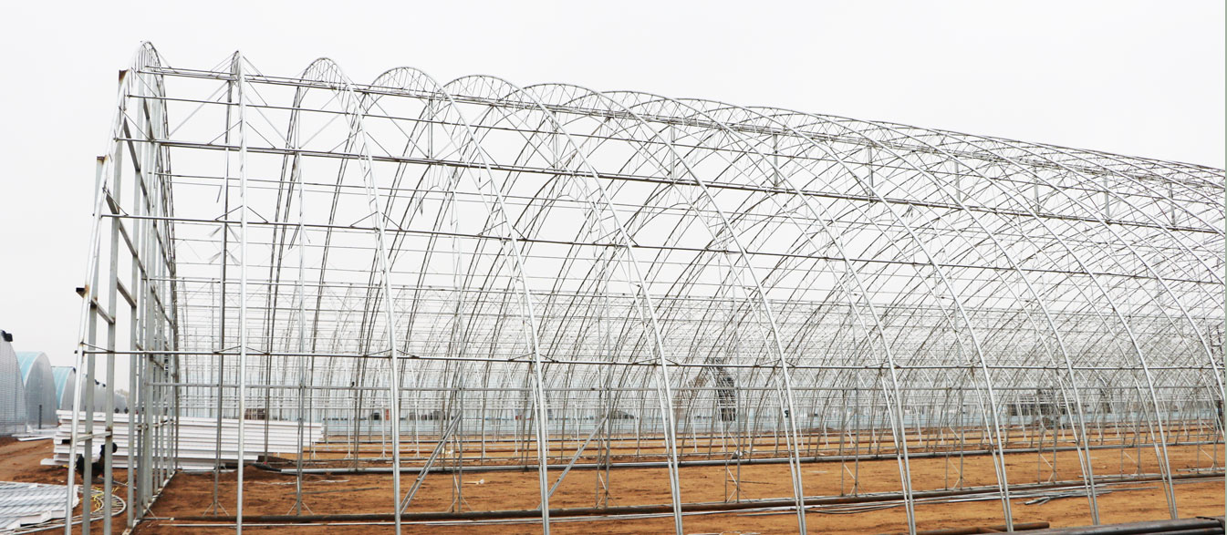 2、四季溫室網頁_16.jpg 2、四季溫室網頁_16.jpg