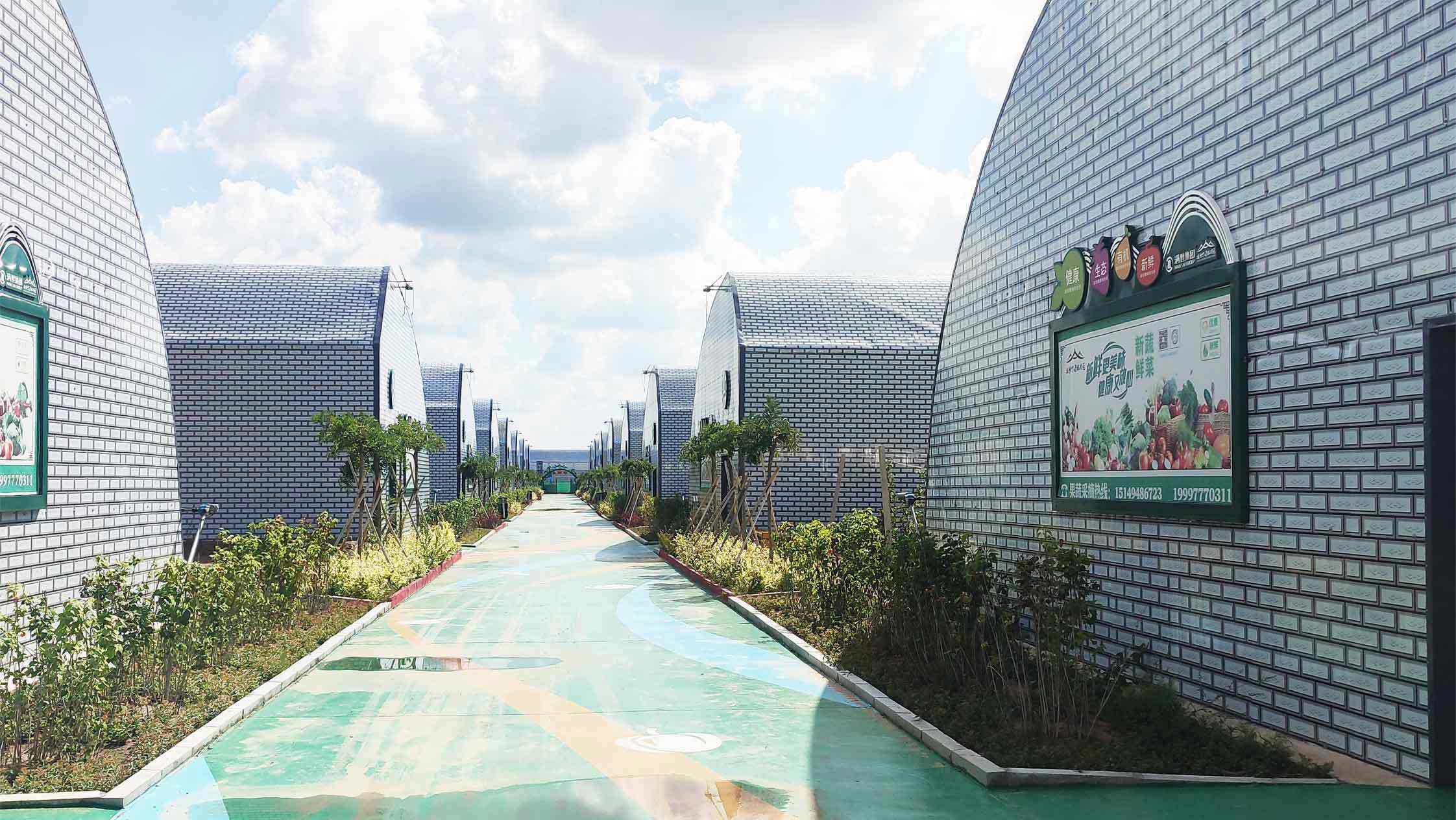 2、直墻溫室網(wǎng)頁_12_01切.jpg 2、直墻溫室網(wǎng)頁_12_01切.jpg