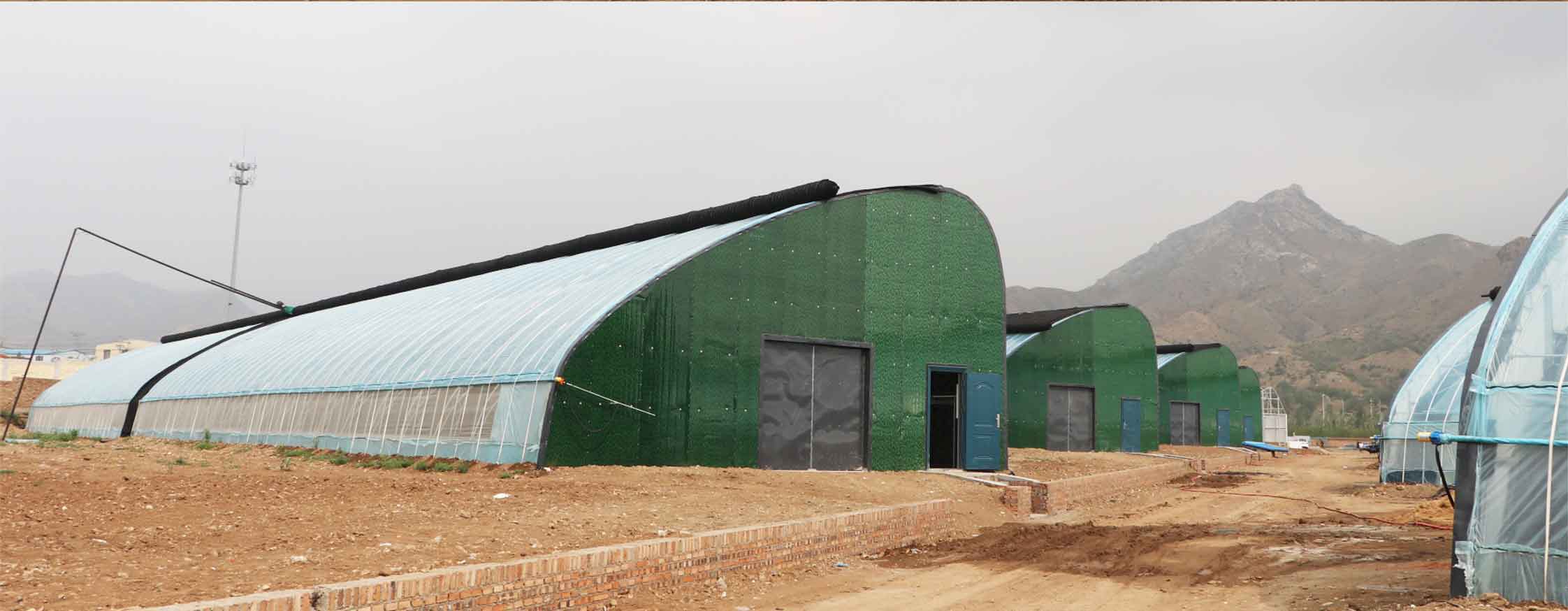 2、弧形溫室網(wǎng)頁(yè)_10.jpg 2、弧形溫室網(wǎng)頁(yè)_10.jpg