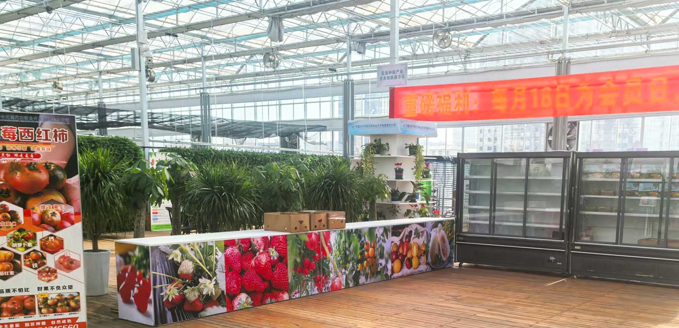 自治區綠色優質果蔬展銷中心psd-恢復的_12.jpg 自治區綠色優質果蔬展銷中心psd-恢復的_12.jpg